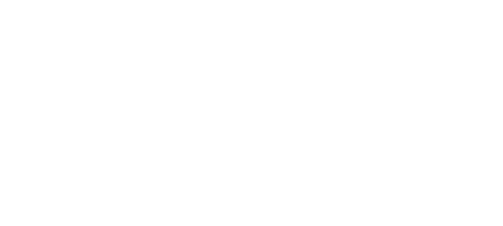 Ambeash International logo